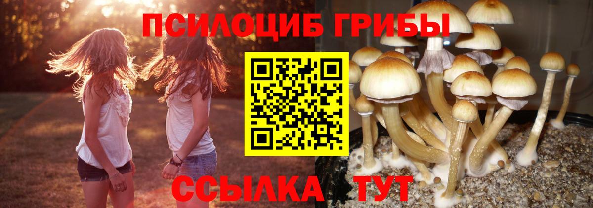 Псилоцибиновые грибы GOLDEN TEACHER  Вход с VPN  купить  цена  Курган 
